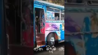 කෝළම්කාරි බස් video #lanka_bullet_gaming #modifiedbus #slbus #srilanka #status #trend #viral