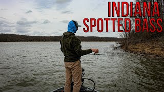 BIG Indiana SPOTTED BASS!! | 2 Minute Tuesday - Lake Monroe, Indiana