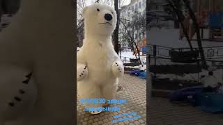 жду встречи🐻‍❄️