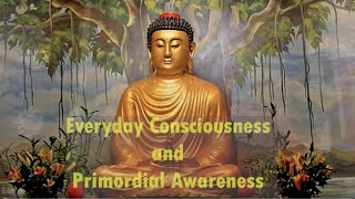 Class 3, Everyday Consciousness and Primordial Awareness: Mind Consciousness