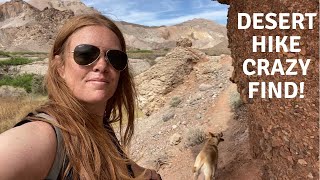 Funky Desert Town With Hot Springs, Hiking & A Date Farm! SUV Car Camping