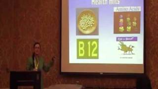 Dr Sladjana Velkov - Lecture 2009 FULL