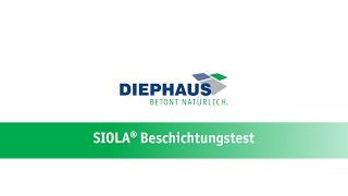 DIEPHAUS Mauersteine | Beschichtungstest