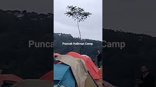 Suasana Pagi Hari di Puncak Halimun Camp