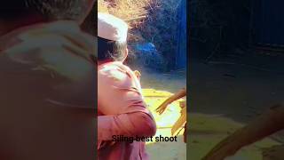 Slingshot Adil 2 Balloon shoot destroye #shorts #slingshot #youtubeshorts