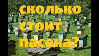 Сколько стоит ПАСЕКА с нуля. КХ Алексеевых.