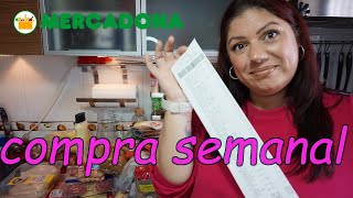 Compra semanal Mercadona, para familia numerosa, cuanto gasto?💶💶💶