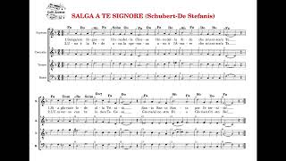 SALGA A TE SIGNORE 🙏 (Schubert-De Stefanis) spartito SATB