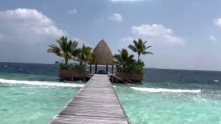 #Maldives North Ari Atoll | Kandolhu Maldives | full island 🏝️ video tour.