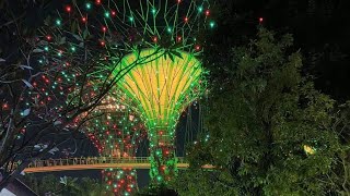 Garden by the Bay./ marina Bay sands Resort ./ Garden Rhapsody./When in Singapore.