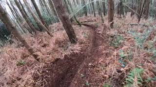 MTB Loam Surfing Surrey Shredit