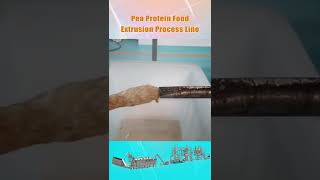 Pea Protein Food Extrusion Process Line