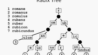 tantan blockchain 12