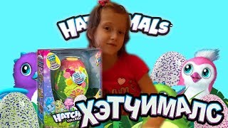 Hatchimals Яйцо-домик *Хетчималс Игровой набор  "Волшебное превращение"*Обзор игрушек