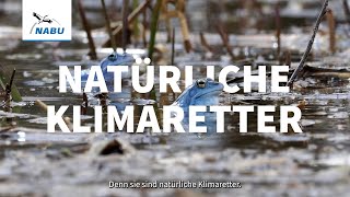 #NaturInNot : Natürliche Klimaretter schützen