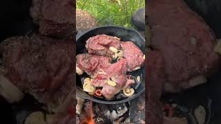 Easy Campfire Beef Recipe, Campfire Dutch Oven Beef Stew