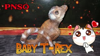 Ex Inferis Episode 13: Baby Love! PNSO Baby Tyrannosaurus Rex Review.