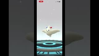 Evolving Togetic Shiny to Togekiss Shiny | Pokémon Go