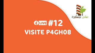 #12 LIVE - P4 GH08