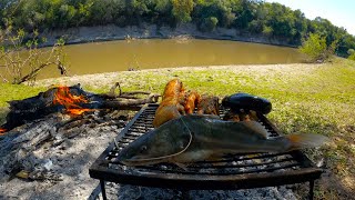 Increíble los BAGRES MONCHOLO que PESCAMOS en este Arroyo, Pesca, COCINA y CAMPAMENTO, Anguila Frita