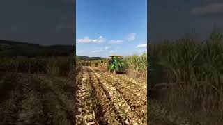 Corn maize harvester 1