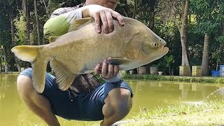 PACU BRUTO NO VÍDEO DE CONTINUAÇÃO DE QUER MELHORAR SUA PESCARIA?