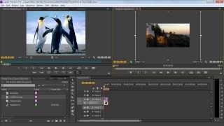 How to Make a Slideshow in Adobe Premiere