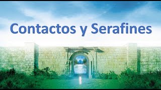 Contactos Y Serafines