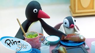 Pingu has Company! 🐧 | Pingu - Official Channel | Cartoons For Kids