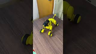 Robo dog action #games