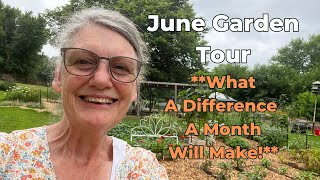 June Garden Tour 2024 | What a Difference a Month Makes! | Free Basil Seeds