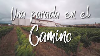 Parada en el Camino 2019 en las bodegas Corral (Don Jacobo)