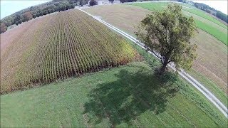 Walkera Rodeo 150 FPV windy flight with the Mobius camera