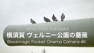 横須賀 ベルニー公園 馬堀海岸 | BMPCC 4K | LUMIX G 25mm F1.7 ASPH.