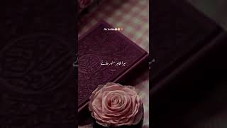 mera dil badal de #biutifullnaat #unfeezmyaccount #love #duet #islamicvideo #1million  #naatssharif