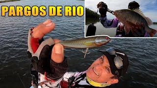 PESCANDO EN LUGARES POCO EXPLORADOS  | Lupe Lofish