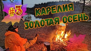 #3.Велопоход.Карелия.Золотая осень.1.10.24🍁🚴‍♀️🏕️🍂