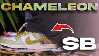 Nike SB Dunk 'Chameleon' On-Foot & Review – Alexis Sablone Collab!