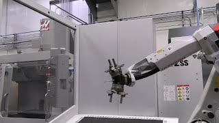 VID-155 Showing the Robot Some Respect.mp4