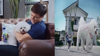 QUENITO REALLY LOVE'S DOGS POGING ENRIQUE GIL | izyTV