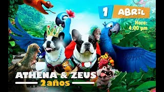 Athena & Zeus - Mis 2 Añitos