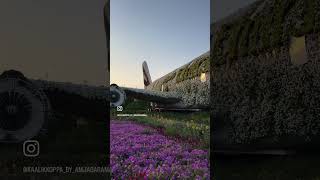 FLY EMIRATES ❌ FLOWER EMIRATES in Dubai Miracle Garden #kaalikkoppa #miraclegarden