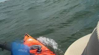 Kayaking Buzzards Bay Area