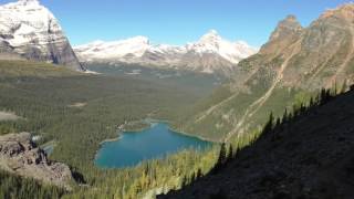 HARD TO GET TO PARADISE Lake O'Hara Hike (Yoho National Park)