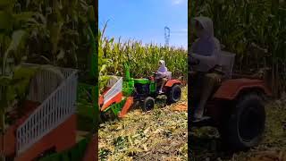 A small corn harvester that women can easily operate 🌽