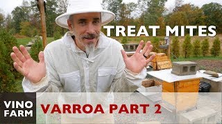 Treat Varroa, Condense Hives (and Harvest Honey!) (Part 2)