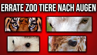 in 5 SEKUNDEN | leicht bis schwer | Tieraugen QUIZ