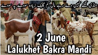 2 June. Lalukhet Bakra Mandi Latest update. Maal Kam Girak Zyada . liyari orangi northern malir.