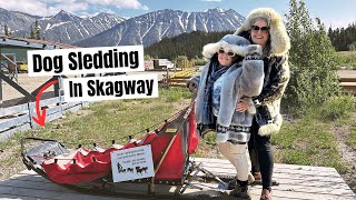 ONLY IN ALASKA!! Dog Sledding in Skagway (ALASKA CRUISE)