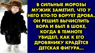 В сильные морозы мужик заметил, что у него кто-то ворует дрова. Он решил вычислить вора и был в шоке